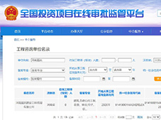 河南嘉铭建设工程咨询有限公司 全国投资项目在线审批监管平台备案成功
